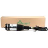 Arnott AIR STRUT AS-3248